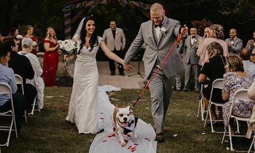 husband and wife walking down the aisle with a dog